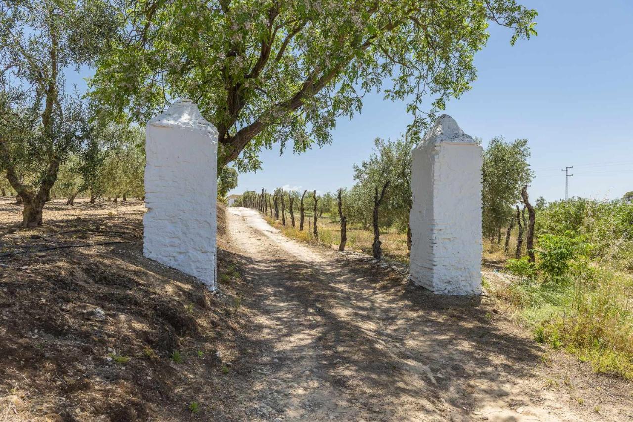 Hacienda San Antonio Marchena (Seville) Exterior foto